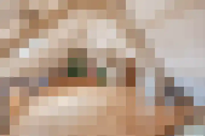 Hoenderparkdreef 12 Bosschenhoofd thumbnail 52