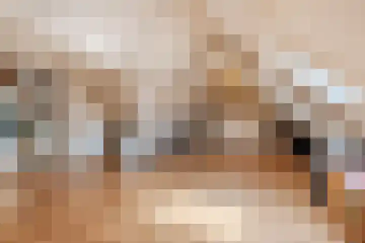 Hoenderparkdreef 12 Bosschenhoofd thumbnail 53