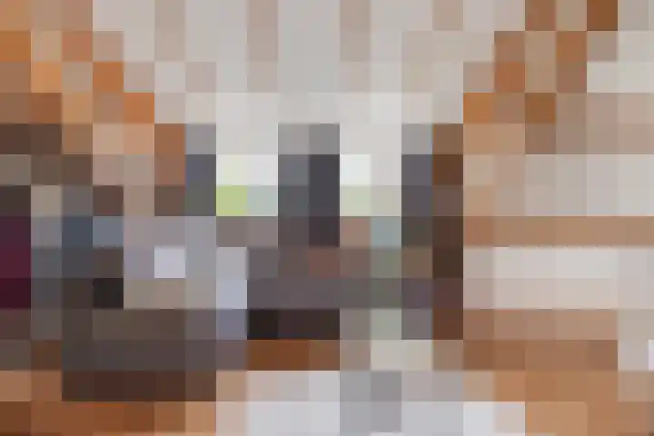 Hoenderparkdreef 12 Bosschenhoofd thumbnail 55