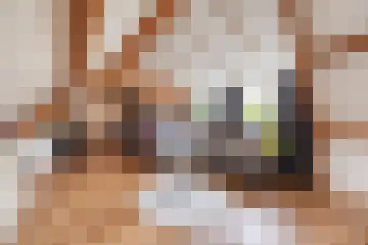 Hoenderparkdreef 12 Bosschenhoofd thumbnail 56