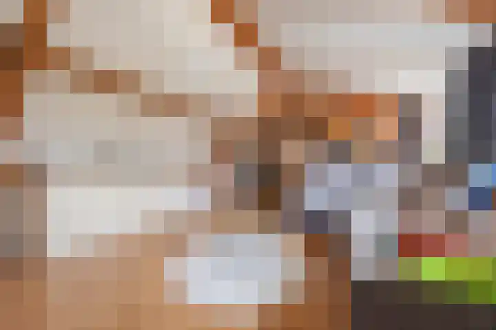 Hoenderparkdreef 12 Bosschenhoofd thumbnail 57