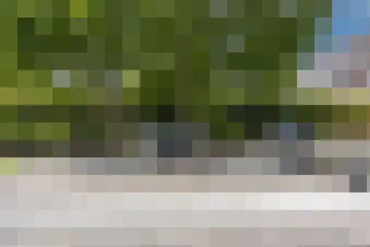 Hoenderparkdreef 12 Bosschenhoofd thumbnail 59