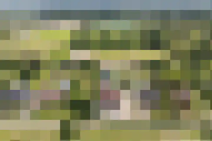 Hoenderparkdreef 12 Bosschenhoofd thumbnail 6