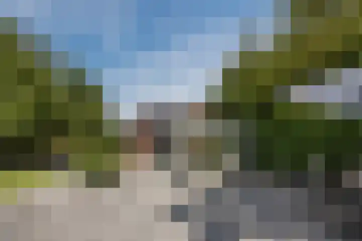 Hoenderparkdreef 12 Bosschenhoofd thumbnail 62