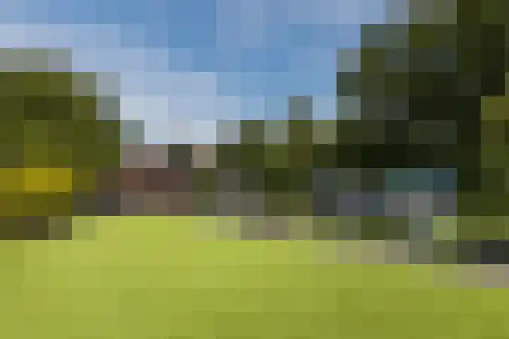 Hoenderparkdreef 12 Bosschenhoofd thumbnail 63