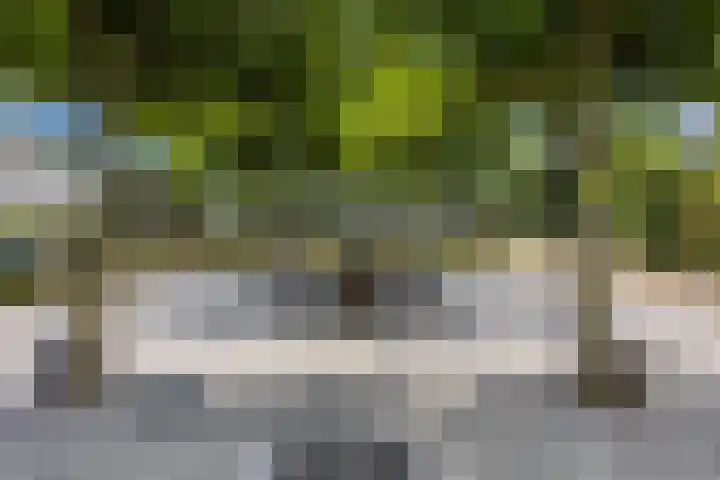 Hoenderparkdreef 12 Bosschenhoofd thumbnail 65
