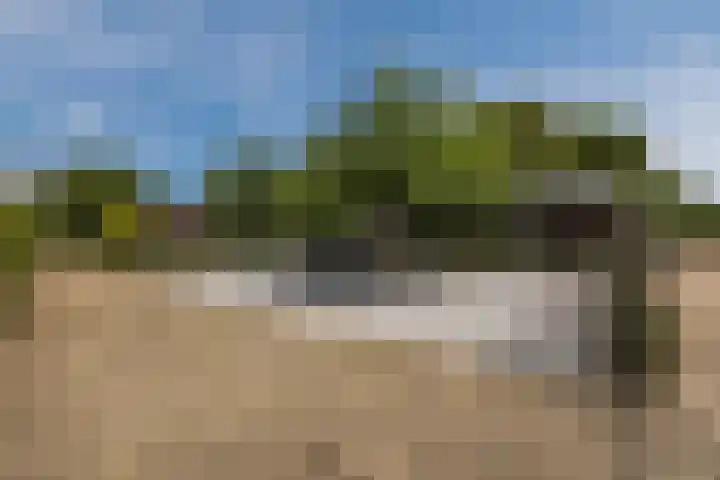 Hoenderparkdreef 12 Bosschenhoofd thumbnail 67