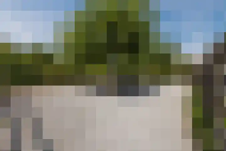 Hoenderparkdreef 12 Bosschenhoofd thumbnail 68