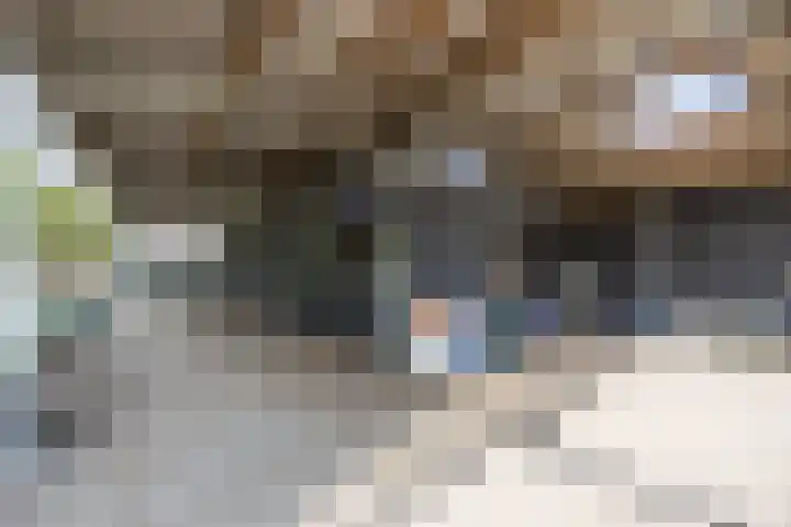 Hoenderparkdreef 12 Bosschenhoofd thumbnail 70