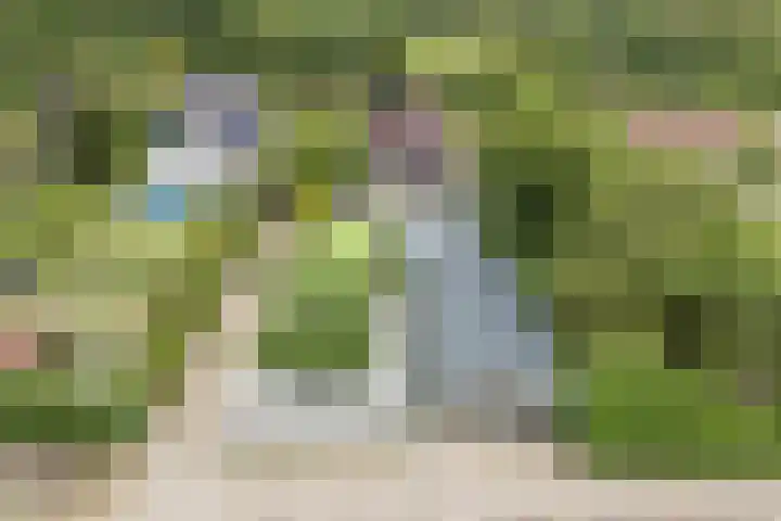 Hoenderparkdreef 12 Bosschenhoofd thumbnail 74