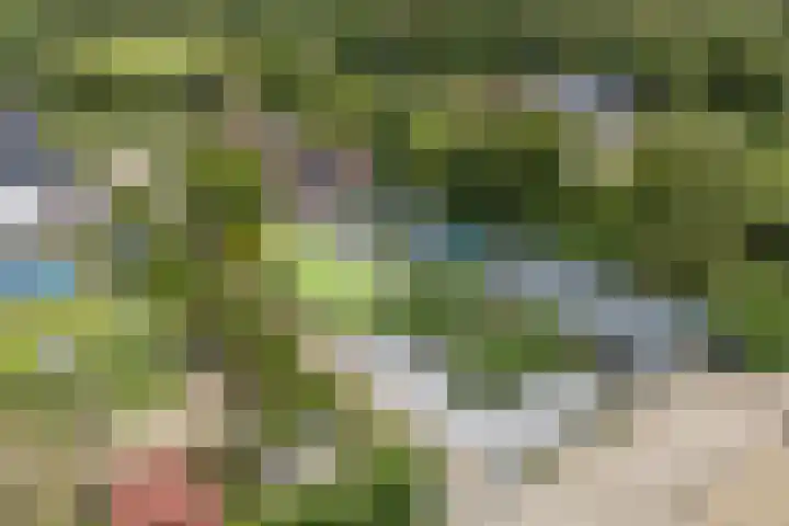 Hoenderparkdreef 12 Bosschenhoofd thumbnail 75