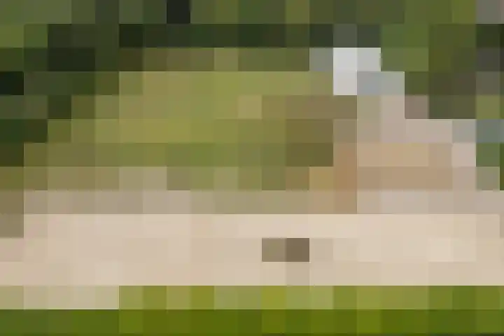 Hoenderparkdreef 12 Bosschenhoofd thumbnail 77