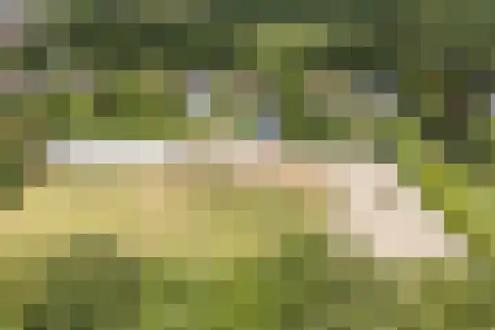 Hoenderparkdreef 12 Bosschenhoofd thumbnail 78