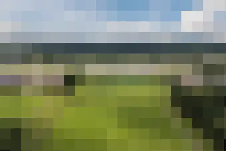 Hoenderparkdreef 12 Bosschenhoofd thumbnail 81