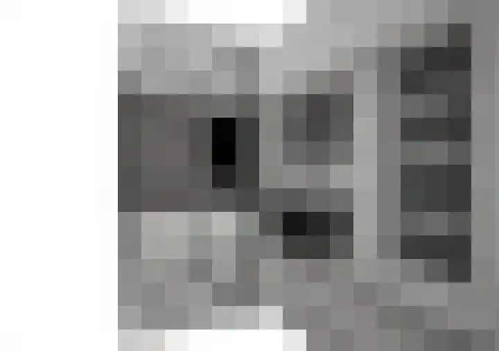 Hoenderparkdreef 12 Bosschenhoofd thumbnail 84