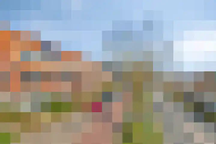 Hoendiep 25 Groningen thumbnail 27