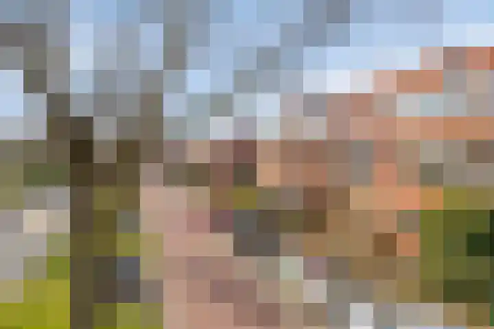 Hoendiep 25 Groningen thumbnail 28