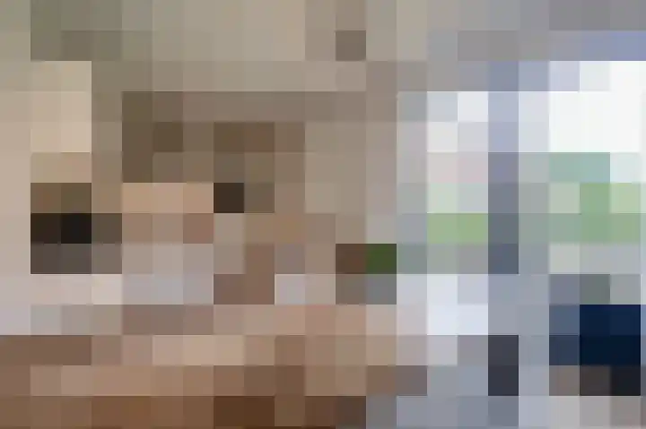 Hoep 4 Schagen thumbnail 12