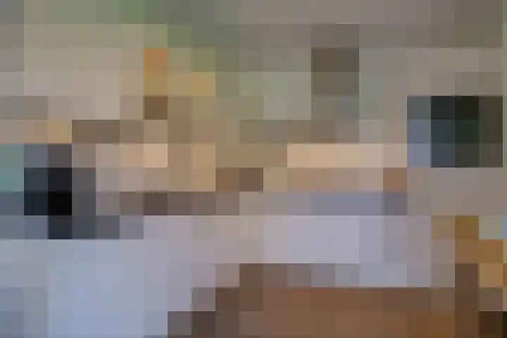 Hoep 4 Schagen thumbnail 14
