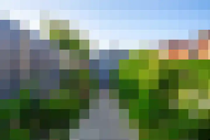 Hoep 4 Schagen thumbnail 23