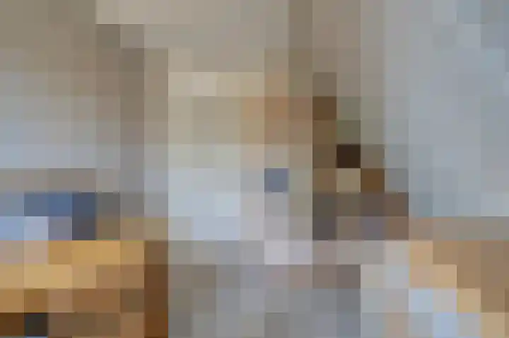 Hoep 4 Schagen thumbnail 28