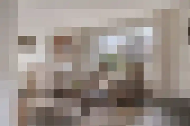 Hoepel 3 Best thumbnail 11