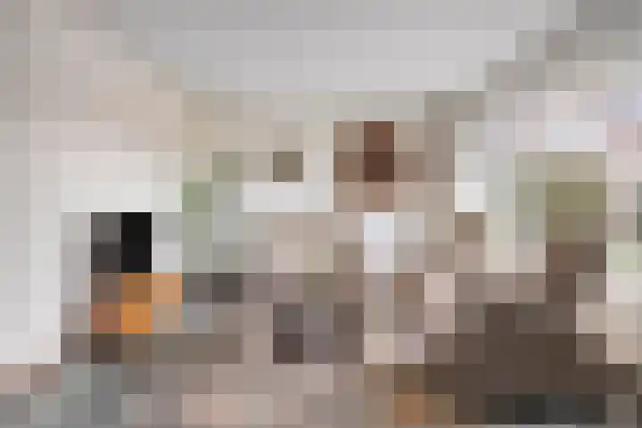 Hoepel 3 Best thumbnail 12
