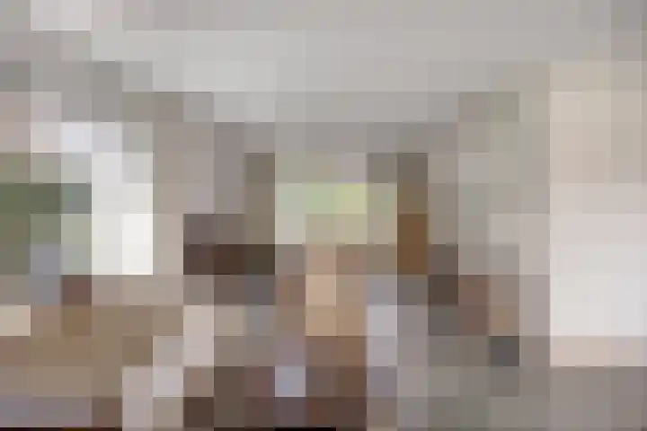 Hoepel 3 Best thumbnail 14
