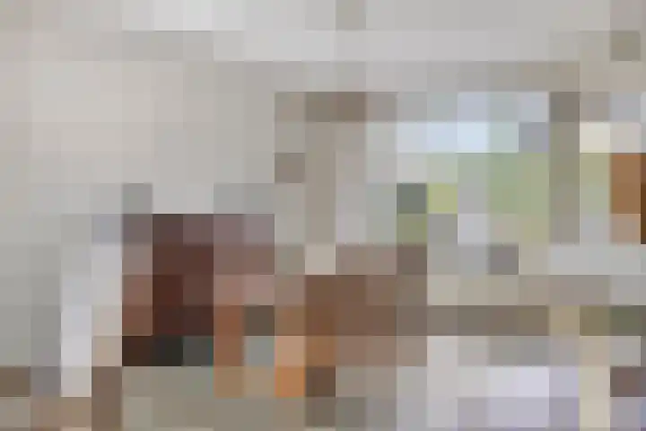Hoepel 3 Best thumbnail 16