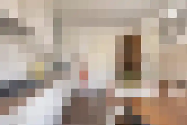 Hoepel 3 Best thumbnail 21