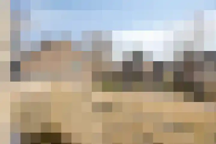 Hoepel 3 Best thumbnail 27