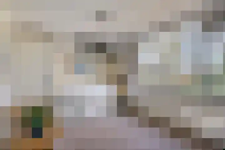 Hoepel 3 Best thumbnail 29
