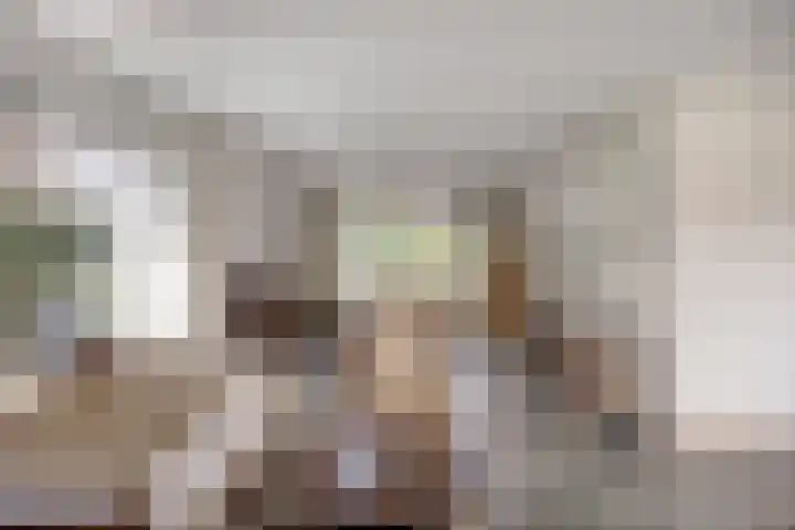 Hoepel 3 Best foto 3