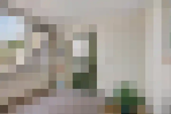 Hoepel 3 Best thumbnail 30
