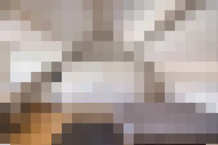 Hoepel 3 Best thumbnail 31