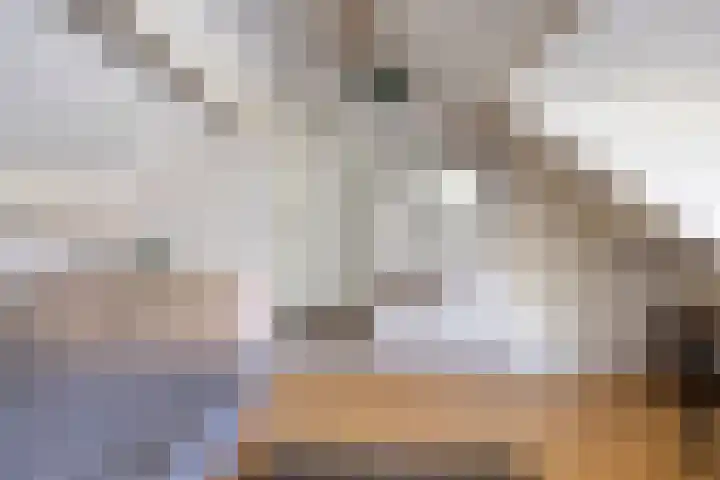 Hoepel 3 Best thumbnail 33