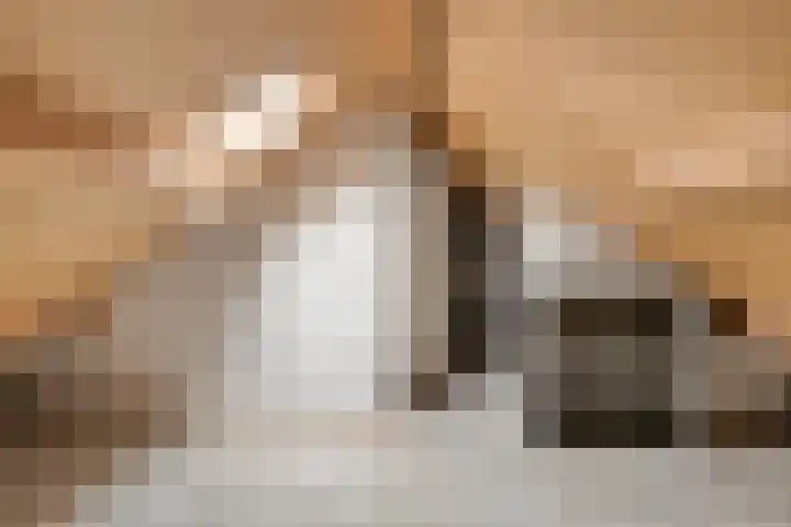Hoepel 3 Best thumbnail 38