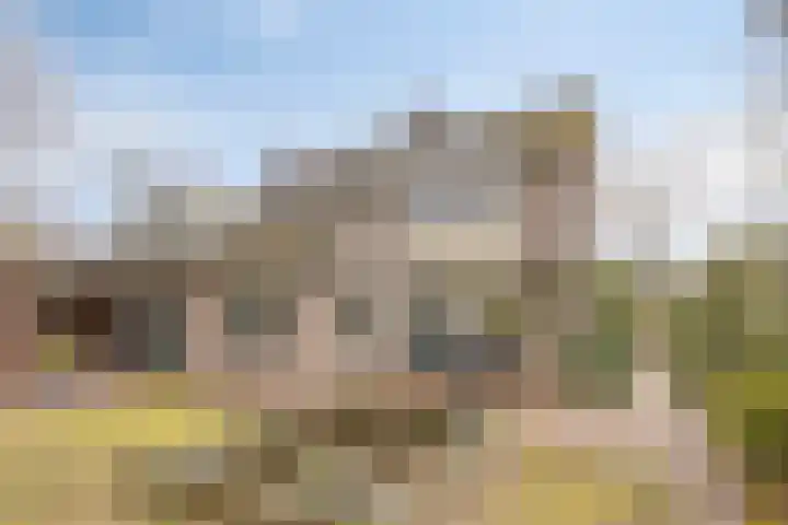 Hoepel 3 Best thumbnail 39