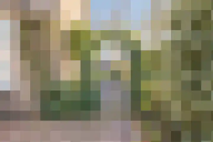Hoepel 3 Best thumbnail 40