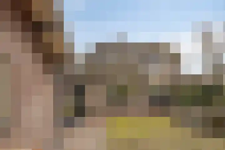 Hoepel 3 Best thumbnail 42