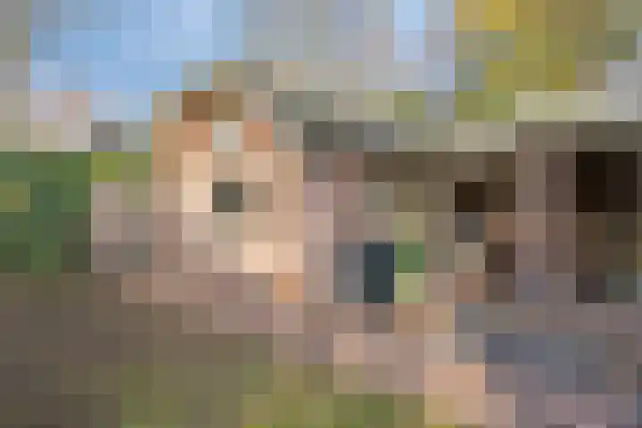 Hoepel 3 Best thumbnail 44