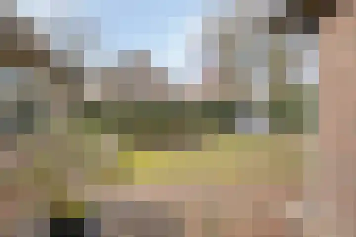 Hoepel 3 Best thumbnail 46