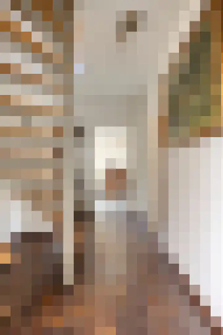 Hoepel 3 Best thumbnail 9