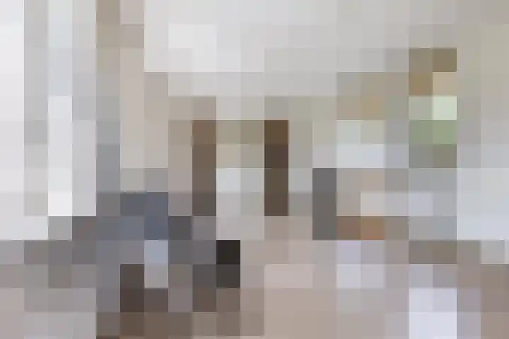 Hoepmaker 14 Papendrecht thumbnail 13