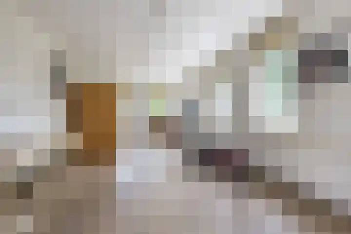 Hoepmaker 14 Papendrecht thumbnail 14