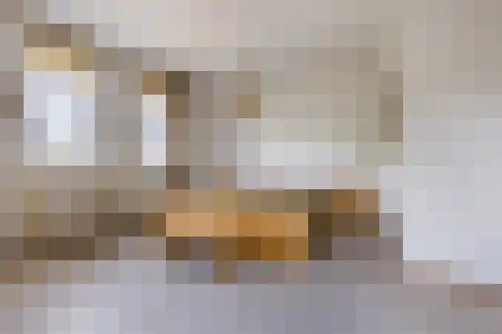 Hoepmaker 14 Papendrecht thumbnail 20