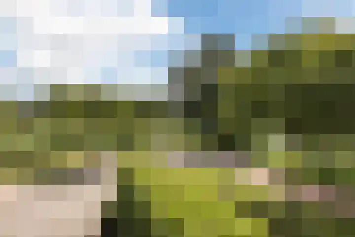 Hoepmaker 14 Papendrecht thumbnail 34
