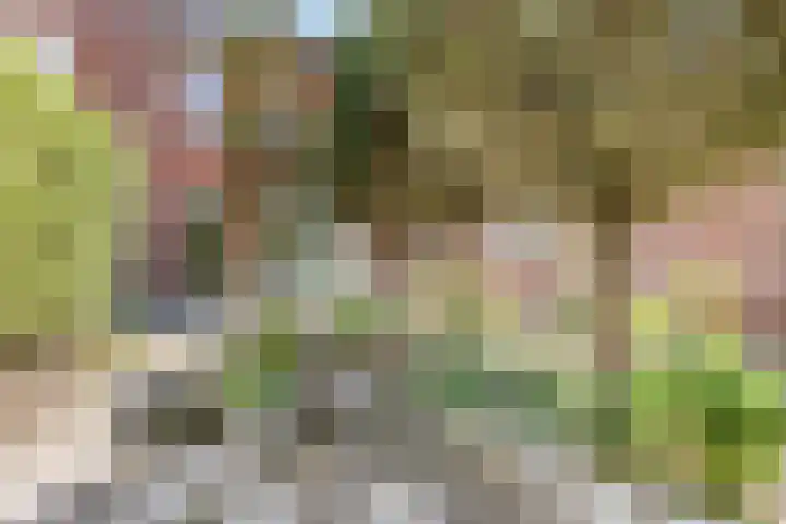 Hoepmaker 14 Papendrecht thumbnail 41