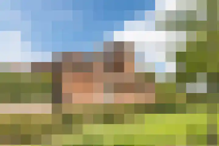Hoepmaker 14 Papendrecht thumbnail 46
