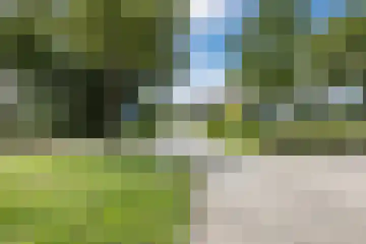 Hoepmaker 14 Papendrecht thumbnail 48
